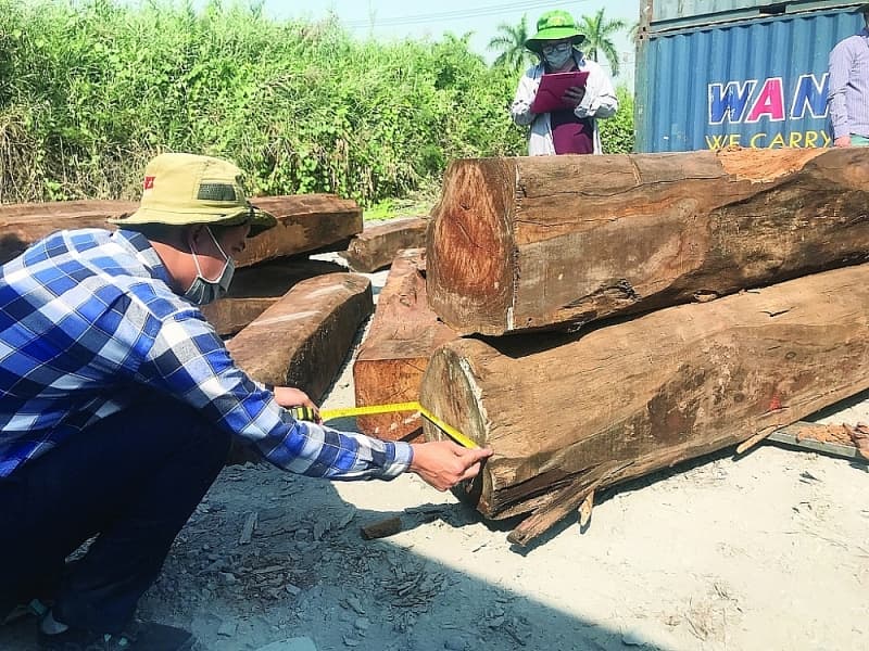Pterocarpus erinaceus "disguised" as Chinese goods
