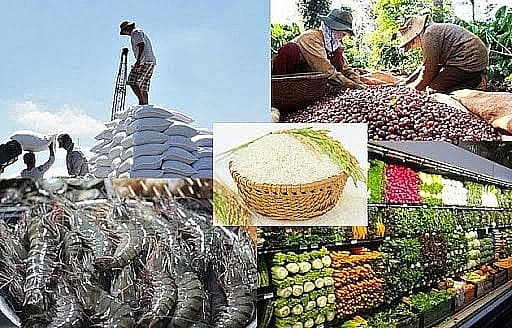 The key to success in agricultural exports to EU