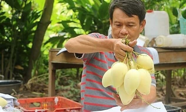 Port congestion impedes agricultural exports