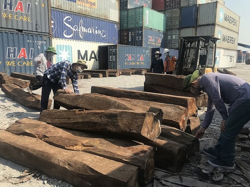 Clarifying the alliance in smuggling of 850m3 of narra padauk wood