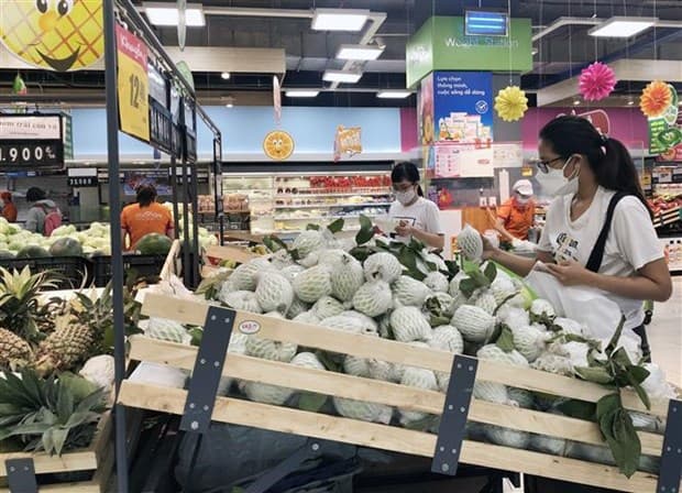 HCM City: 85.7 percent of firms hit by COVID-19