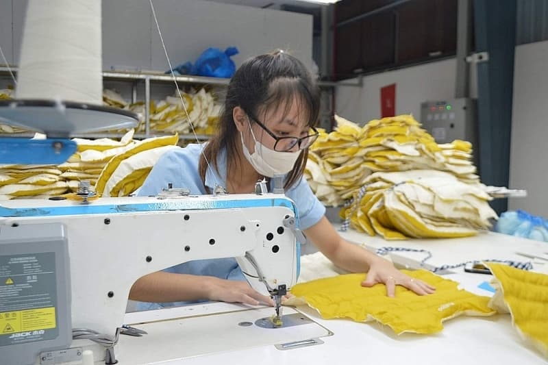 The private economy cannot overcome the FDI sector