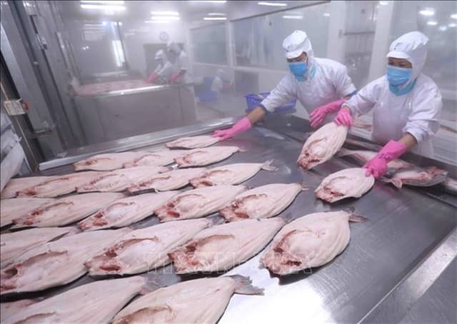 EVIPA ensures FDI flow in medium to long term