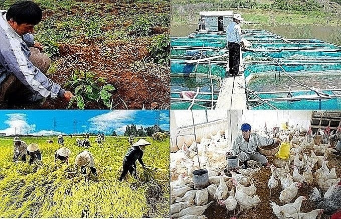 Crops and livestock at risk will be supported by agricultural insurance