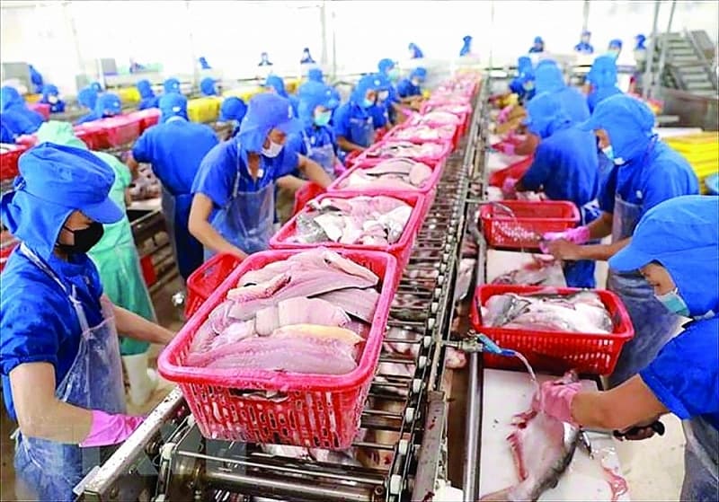 Seafood exports: Expectations from key commodities