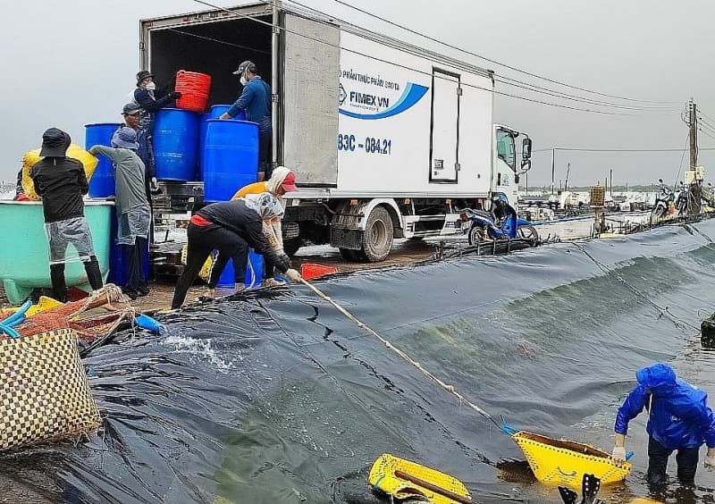 Shrimp exports to China decline deeply