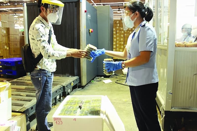 Ho Chi Minh City is busy with export goods at the border gates
