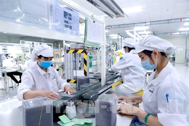 Việt Nam faces slow economic recovery: VEP