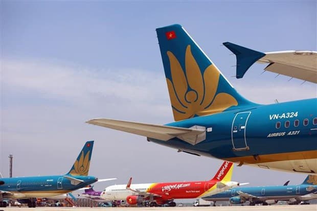 Resuming international flights a necessary move: experts