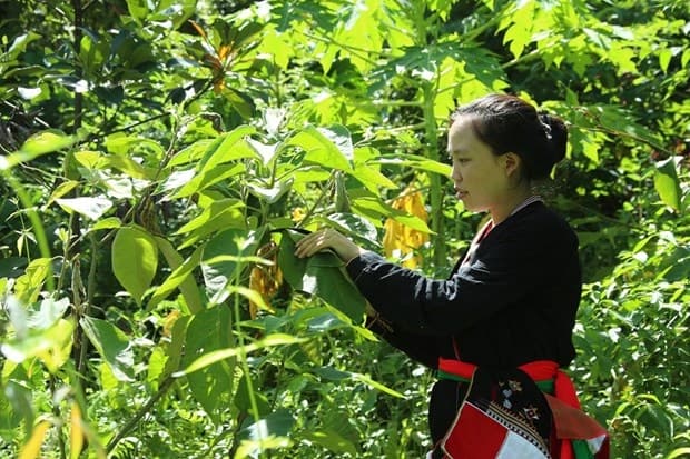 Farmers Should Be Professional, Entrepreneurial