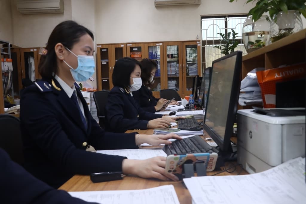 Hai Phong Customs earns VND56,000 billion in tax revenues