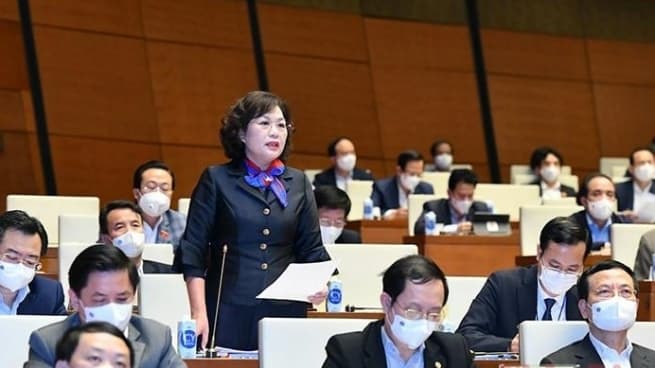 Inflationary pressure remains big next year: SBV Governor