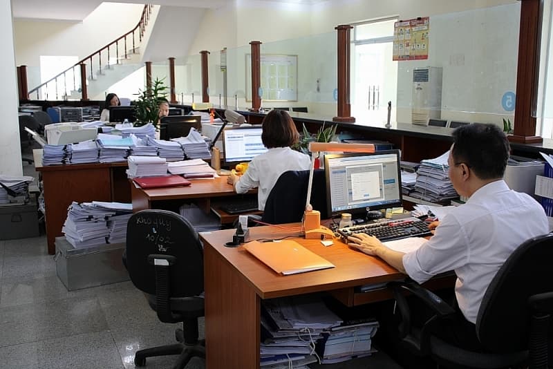 Organize online primary course on customs