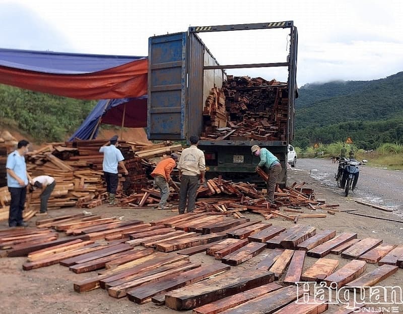 La Lay Customs prosecute smuggling case of valuable timber