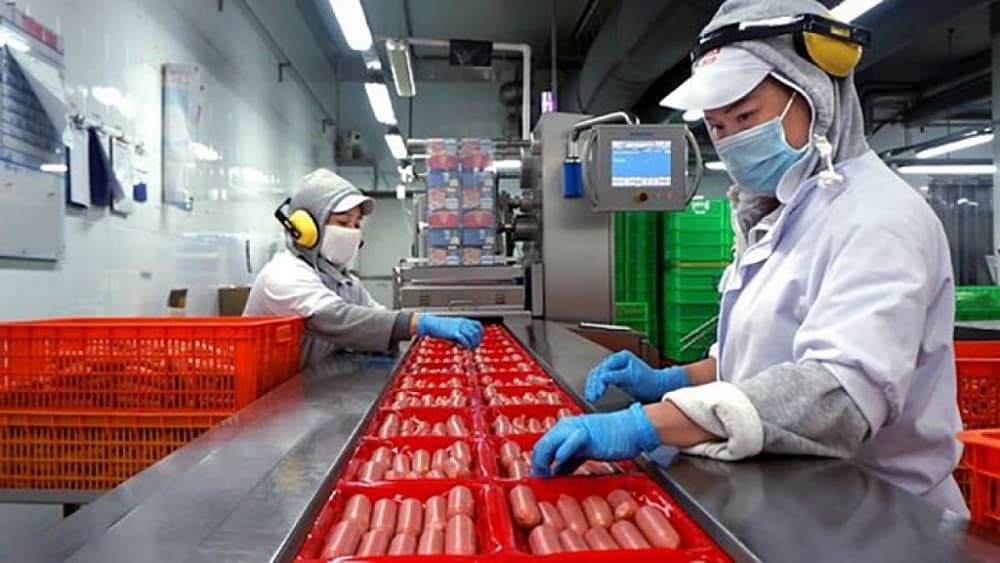 Enterprises in production season for Tet goods