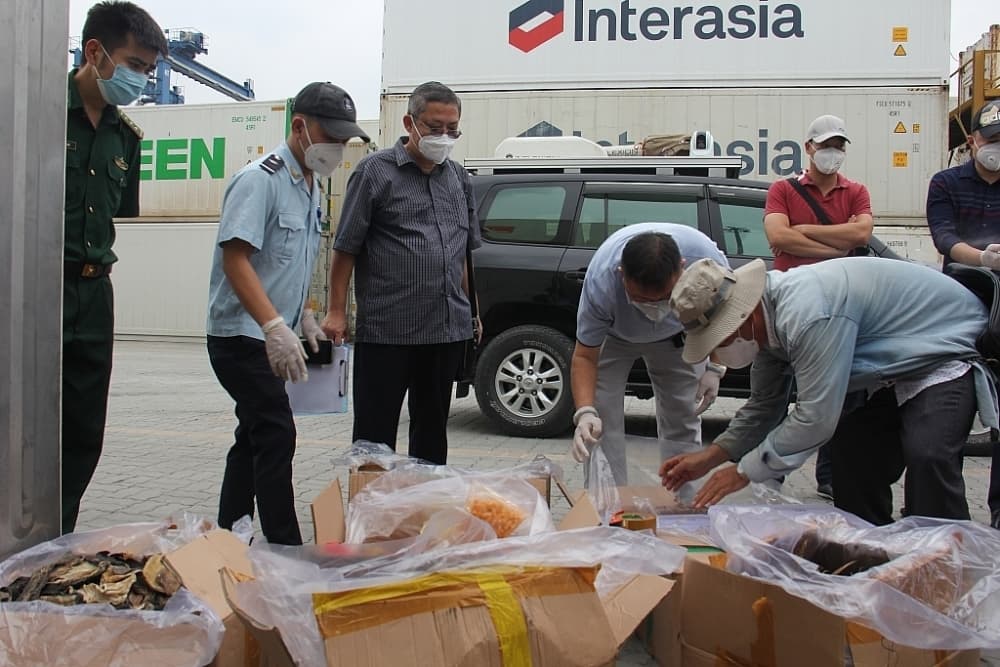 HCM Customs controls imports and exports across seaports