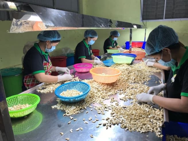 Lao Bao Electronics Co., Ltd Fostering Local Agricultural Processing Development