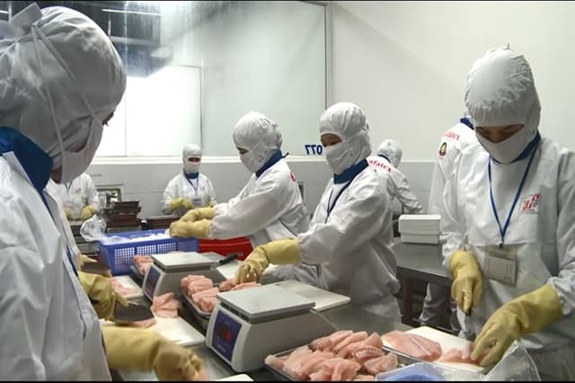 VASEP claims imported seafood regulations inadequate