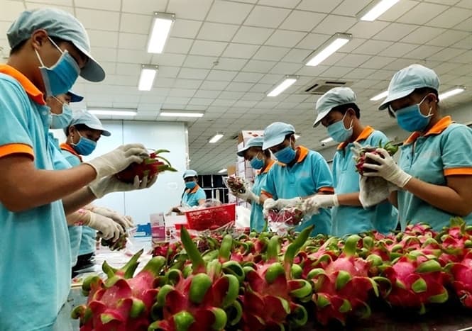 Fruit and vegetable exports to China in danger during the Lunar New Year