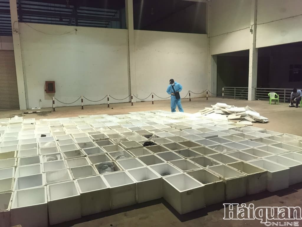 Customs seizes 24 tons of Japanese goods