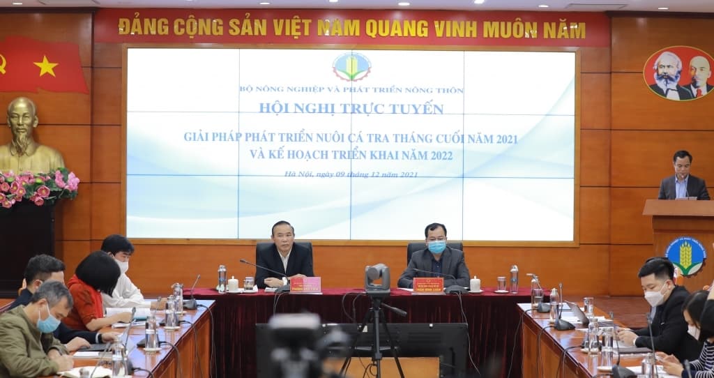 Area of pangasius farming decreases, concerns about lack of raw materials for export