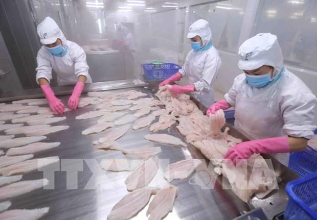 Fishery exports projected to near 8.9 billion USD this year