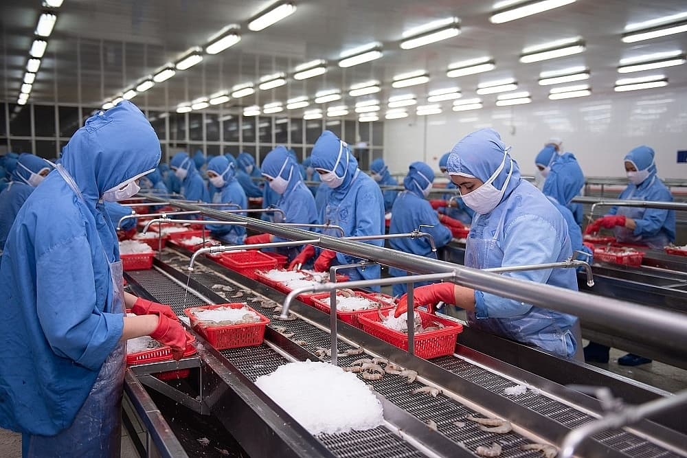 Shrimp exports recover well at the end of the year