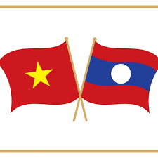 Vietnamese, Lao FMs co-chair 8th political consultation