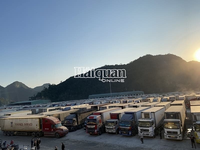 Quick clearance to solve congestion at Northern border gate