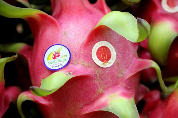 Binh Thuan strives to optimise protected GI of dragon fruit in Japan