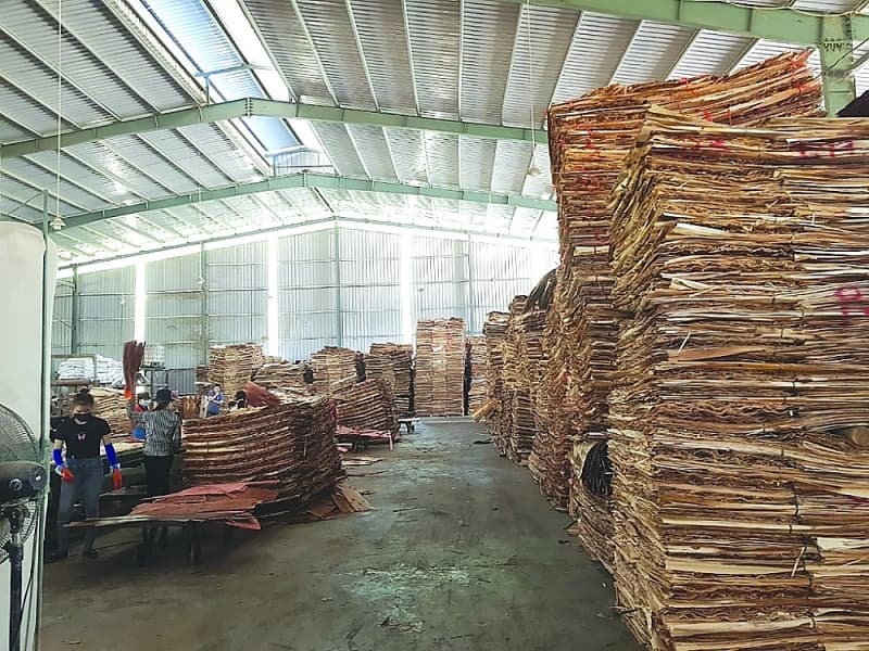 Controlling the risk of importing wood from China