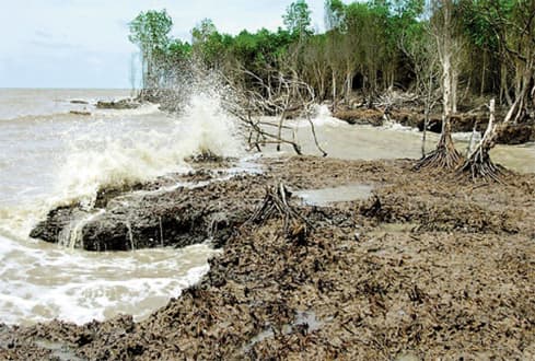 WB funds US$ 126 million climate change response project