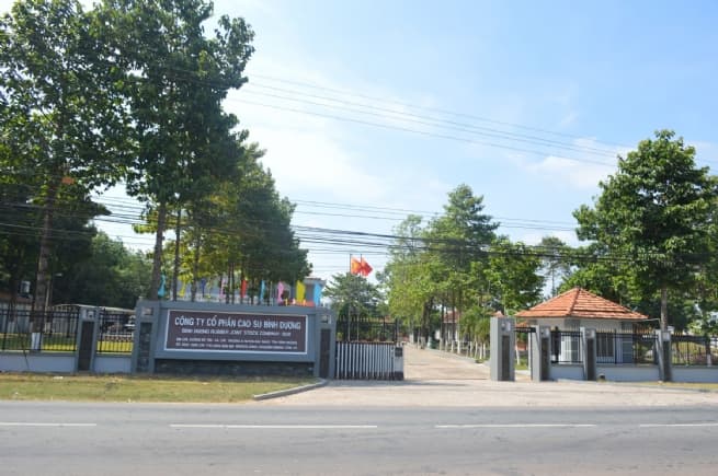 Binh Duong Rubber JSC: Effective Business, Reliable Partner in COVID-19 Epidemic Control with Localities