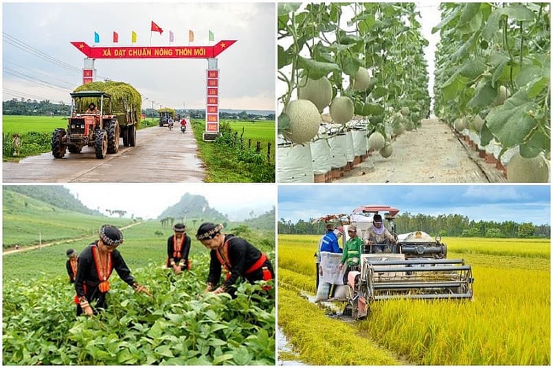 Gov't approves national target program on poverty reduction for 2021-2025
