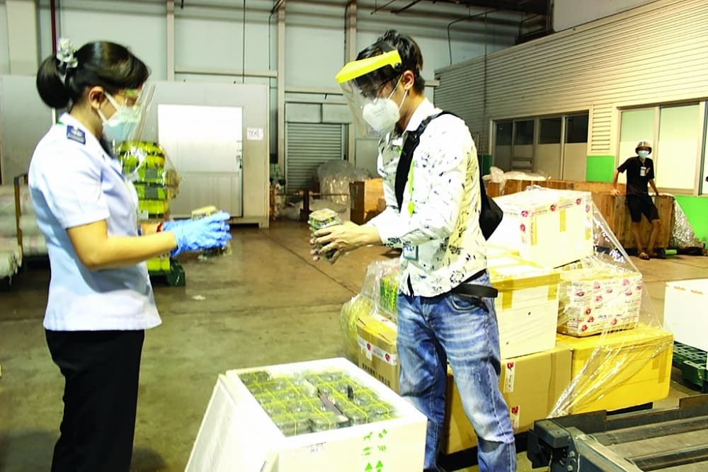 Enterprises take advantage of export opportunities from the beginning of the year
