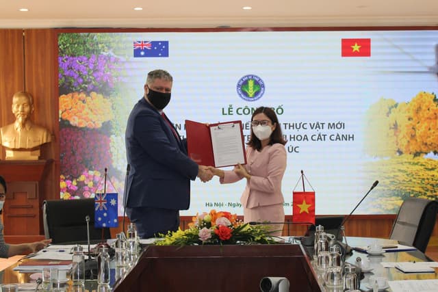 New phytosanitary measure for Viet Nam’s cut flowers exported to Australia