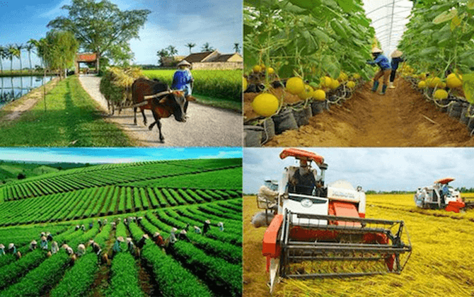 Gov't approves sustainable agricultural development strategy through 2030