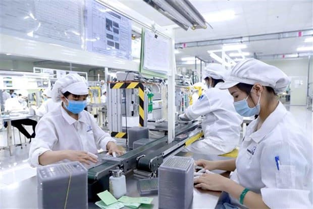 Programme to support private firms in sustainable business development