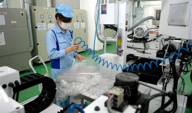 Green economic development crucial to FDI attraction