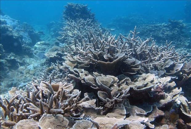 National biodiversity strategy to 2030 approved