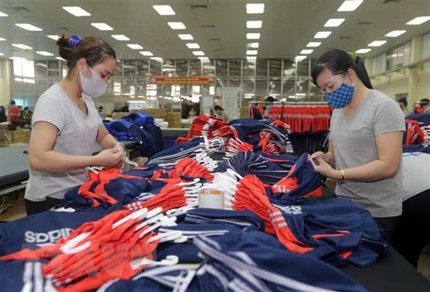 EVFTA helps compensate for pandemic-caused economic downturn: experts