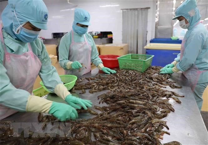 Agro-aquatic-forestry exports up nearly 21% in two months