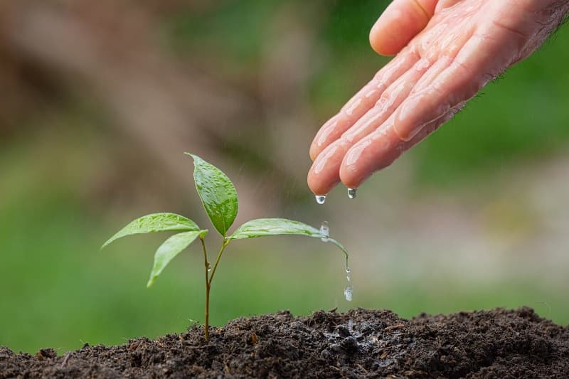 EU nations ready to support ASEAN in green development
