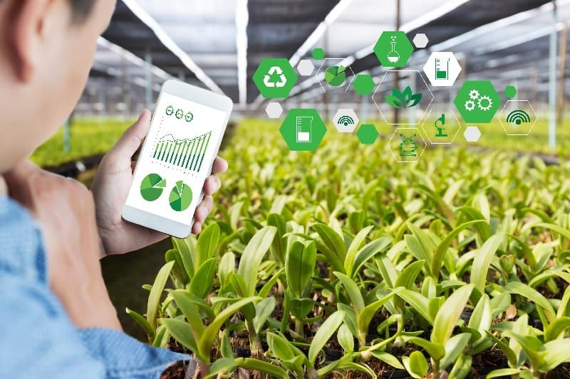 Vietnam’s agriculture striving for smarter processing