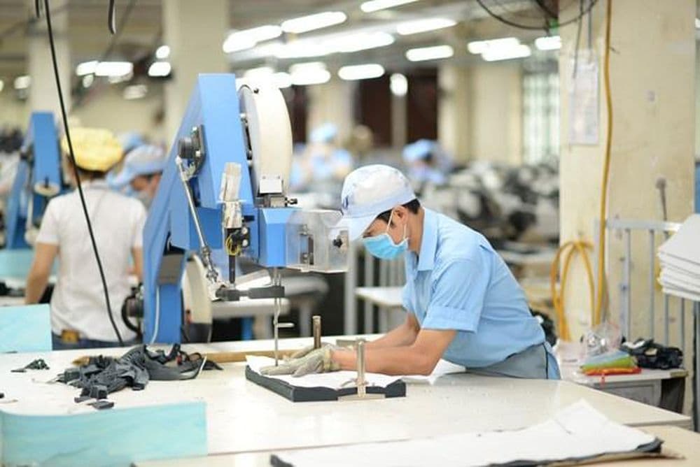 National economy expected to pick up pace this year