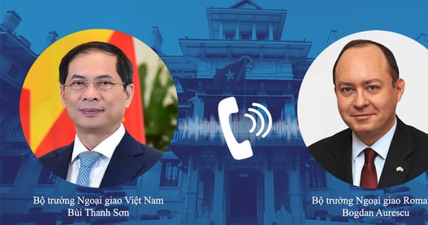Foreign minister seeks Romania's support for evacuating Vietnamese from Ukraine