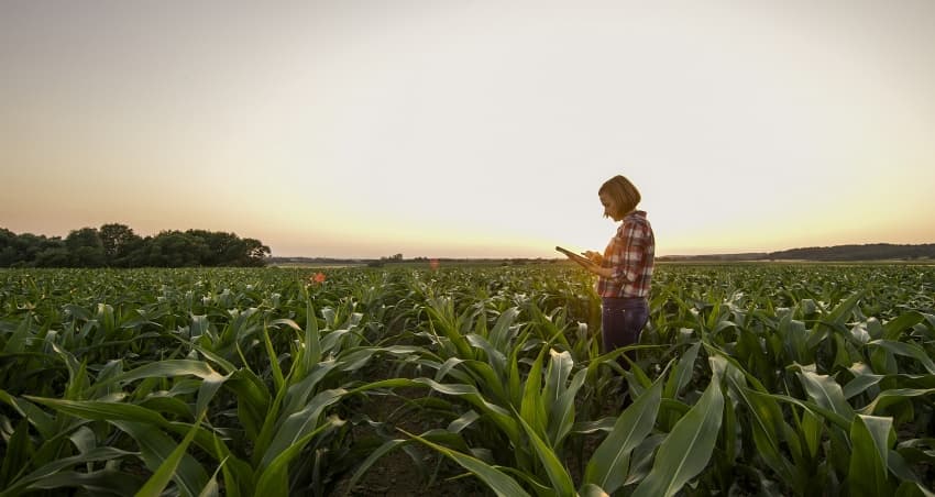 Building a more sustainable future with 6G