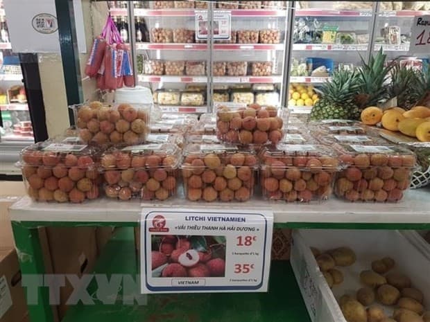Room remains for Viet Nam to boost agricultural produce export to France
