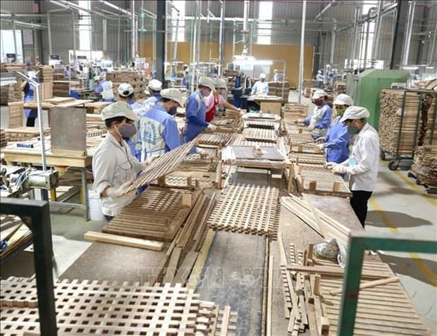 Viet Nam's wood industry seeks to ensure self-sufficiency in domestic materials