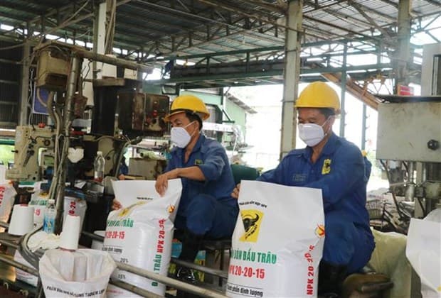Russia-Ukraine conflict forces Vietnam to look for alternative fertiliser suppliers